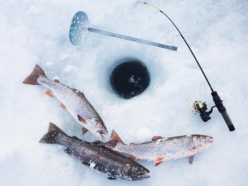Experience the Thrill of Ice Fishing at UK's Top Live Casinos in United Kigdom
