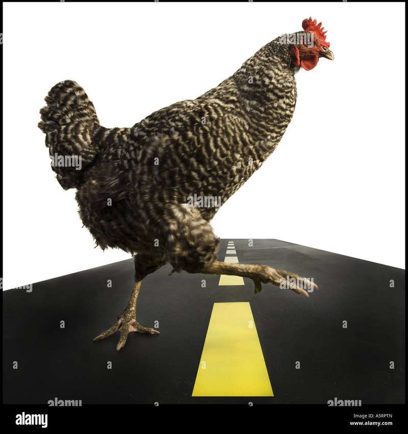 Juego chicken road - Descubre el Misterio de la Ruta del Pollo en Todos los Casinos Españoles