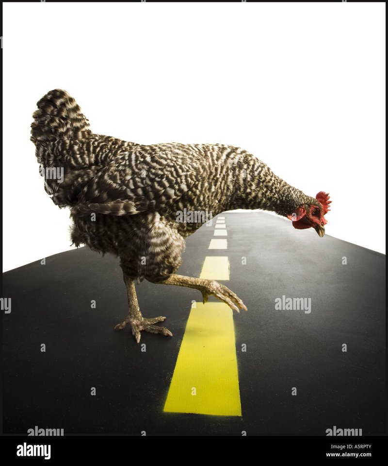 Best chicken road spel in Netherlands